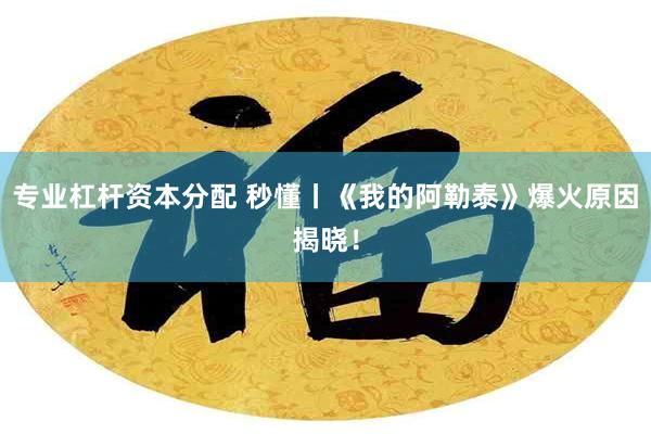 专业杠杆资本分配 秒懂丨《我的阿勒泰》爆火原因揭晓！