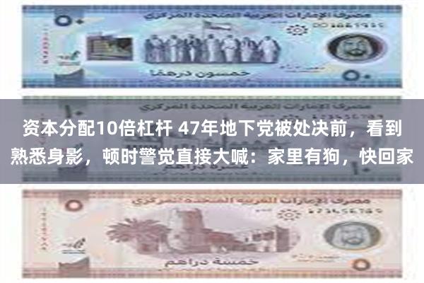 资本分配10倍杠杆 47年地下党被处决前，看到熟悉身影，顿时警觉直接大喊：家里有狗，快回家