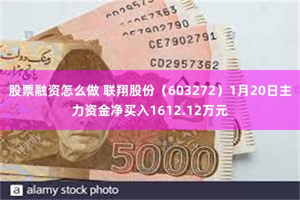 股票融资怎么做 联翔股份（603272）1月20日主力资金净买入1612.12万元