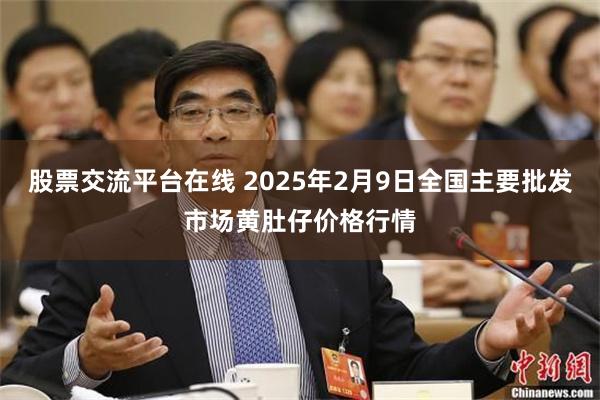 股票交流平台在线 2025年2月9日全国主要批发市场黄肚仔价格行情