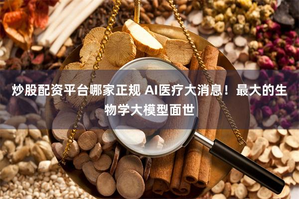 炒股配资平台哪家正规 AI医疗大消息！最大的生物学大模型面世